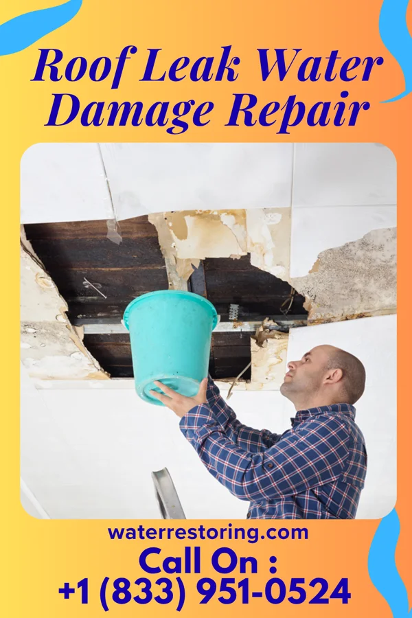 Roof Leak Water Damage Repair in Fairchilds, TX